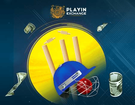Playinexch Cricket